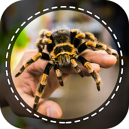 চিহ্নৰ প্ৰতিচ্ছবি Spider Identifier App by Photo