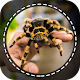 Laba-laba pengidentifikasi app oleh foto, kamera Unduh di Windows