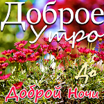 Cover Image of Descargar Mensajes de deseos de buenos días, buenas noches en ruso  APK