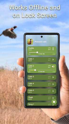 Pheasant Hunting Calls Screen 3