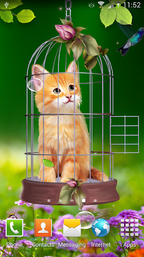 Android application Cat and Hummingbirds Wallpaper screenshort