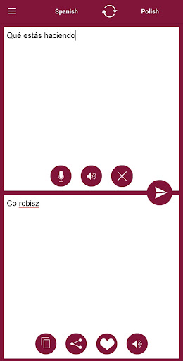 Spanish - Polish Translator Screen 2