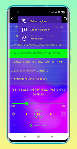 Dj Sia Sia Berjuang Zidan