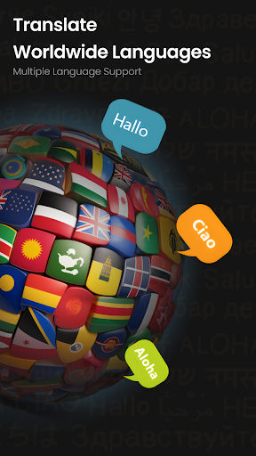 English to Hindi Translator Screen 3