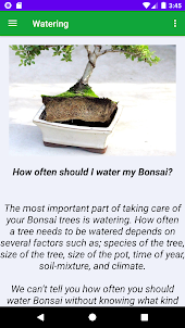 Bonsai Tree Grow & Care Tips