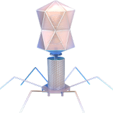 Bacteriophage 3d icon