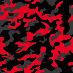 Image de l'icône Fonds d'écran Camouflage