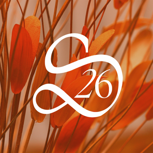 Skin 26 logo