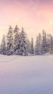 Winter landscapes Wallpaper
