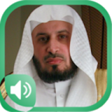 Sa’ad al Ghamidi Quran MP3 icon