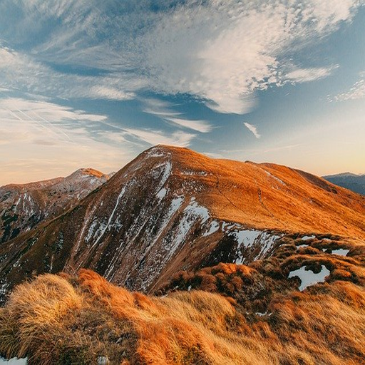 nature quotes Download on Windows