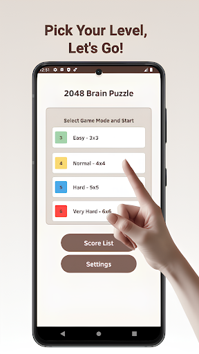 2048 Brain Puzzle