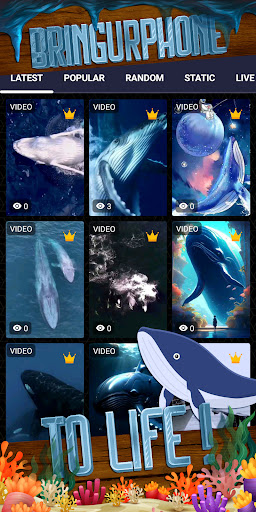 whale wallpaper Screenshot 2 - AppWisp.com
