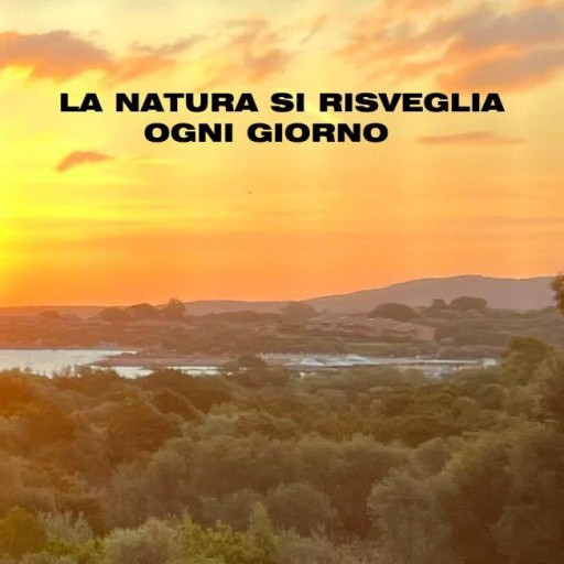 Raffaele Angelini logo