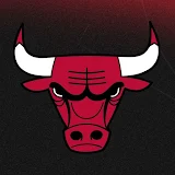 Chicago Bulls icon