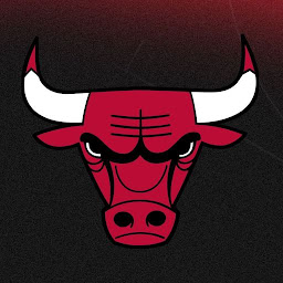 「Chicago Bulls」圖示圖片
