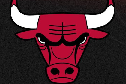 Bulls