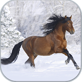 Horses in winter icon