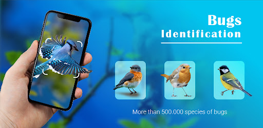 Bird Identifier - Picture Bird cover