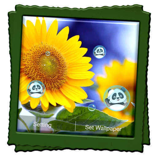 Sunflower Live Wallpaper Google Play のアプリ