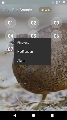 Quail Call Sounds Screenshot 3 - AppWisp.com