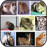 Top 27 Books & Reference Apps Like Panduan Lengkap Kucing - Best Alternatives