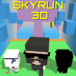 Cover Image of Download Skyrun 3D  APK