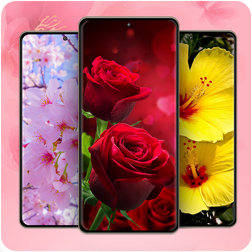 Flower Wallpapers HD Download on Windows