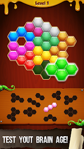 Hexa-mazing Fun: 블록 퍼즐