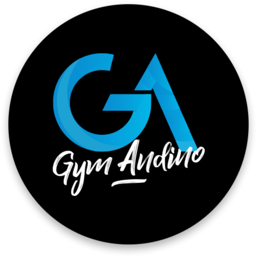 GYM ANDINO LIMITADA logo