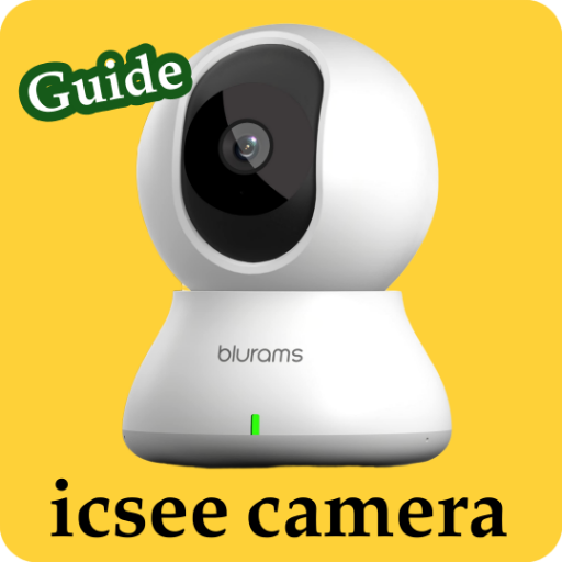 blurams icsee camera guide