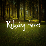 Top 49 Entertainment Apps Like Forest relax. Sounds of nature - Best Alternatives
