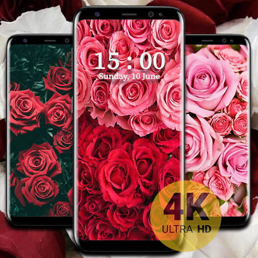 Rose Wallpaper HD logo