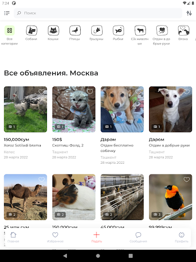 Зоомаркет Узбекистана Screen 3