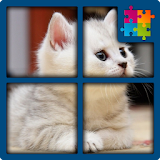 Cat Jigsaw Puzzles Free icon