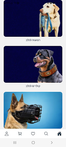 4Dog Screen 2