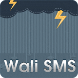 Wali SMS-Rainy Night icon