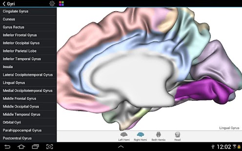 Brain Tutor 3D Screenshot