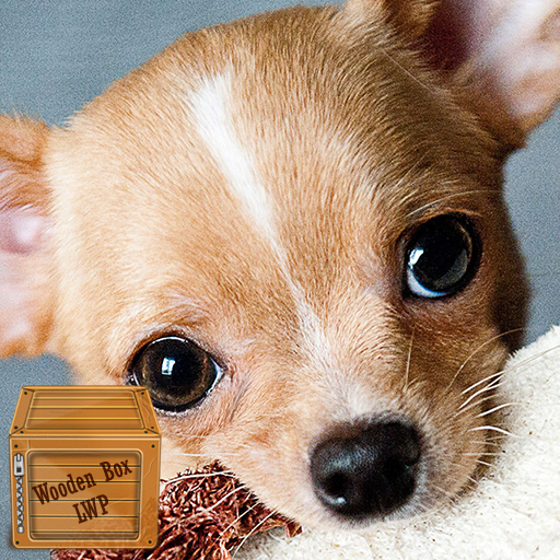little dog wallpaper logo