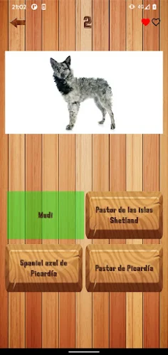 Guess dog breed - Screenshot 2