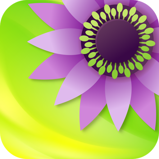 Gallery Unduh di Windows