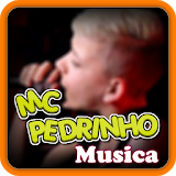 Mc Pedrinho Music Lyrics icon