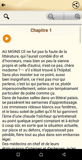Mes Hôpitaux - Paul Verlaine Screen 3