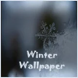 Winter Wallpapers icon