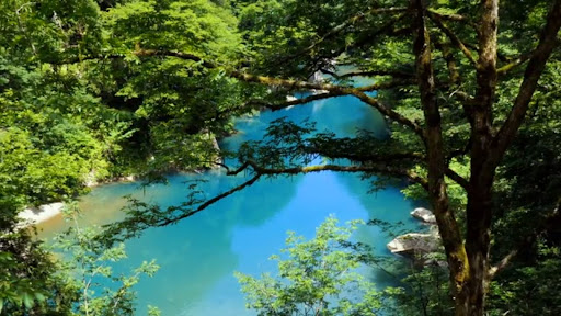 Screenshot of Relaxing Nature