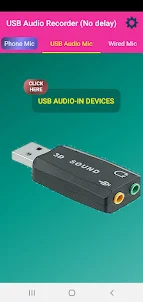 USB Audio Recorder (No delay)