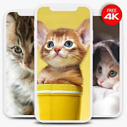 Top 38 Entertainment Apps Like Kitten Wallpapers HD Offline - Best Alternatives