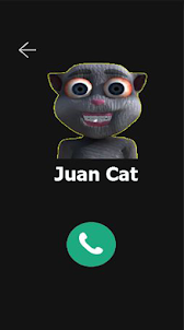 Talking Juan Cat Dancing Edm