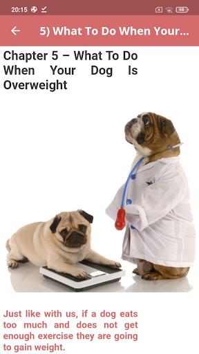Dog Food Healthy Screenshot 2 - AppWisp.com