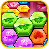 Match Block: Hexa Puzzle icon